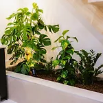 Sauna - Massage - Double Shower - Luxe In