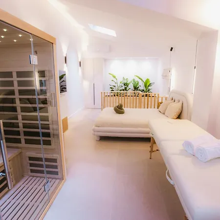 Sauna - Massage - Double Shower - Luxe In Romans-sur-Isère